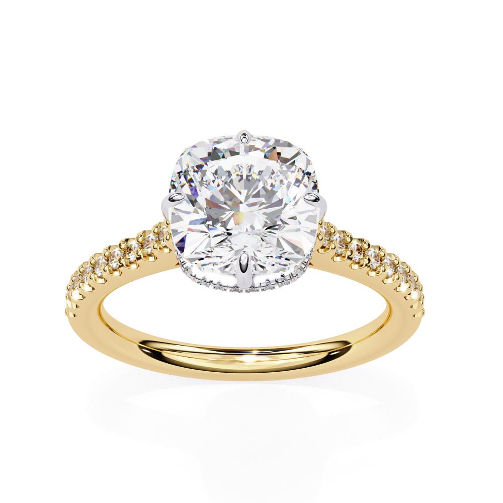 Cushion Cathedral Hidden Halo Engagement Ring