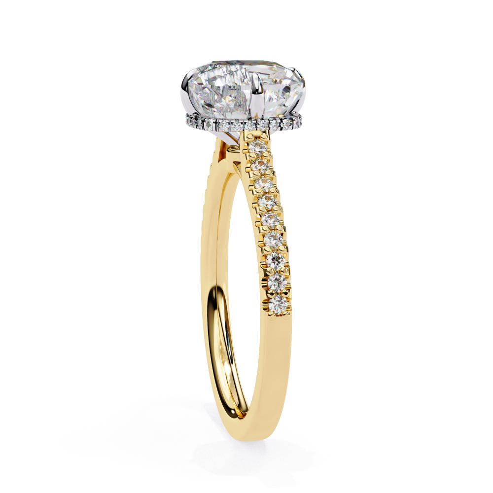 Cushion Cathedral Hidden Halo Engagement Ring