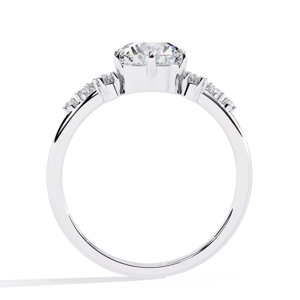 Cat Engagement Ring