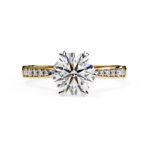 Round Prime Cathedral Engagement Ring