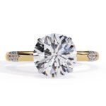 Round Hidden Halo with Lace Design Engagement Ring