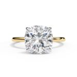 Cushion Cut Hidden Halo Engagement Ring