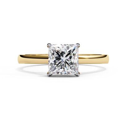 princess cut cathedral setting