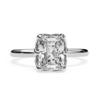 10K White Gold