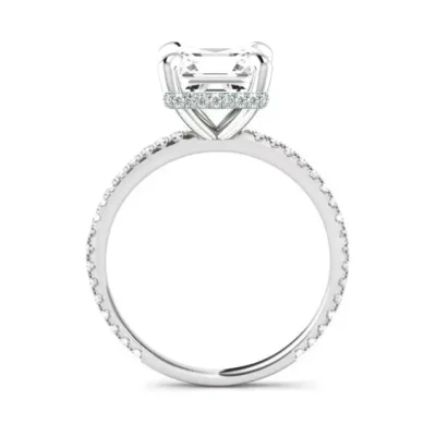 What Is a Hidden Halo?